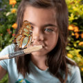 Child Support in Manassas Park, VA: Can a Parent Request a Change if They Have Another Child?